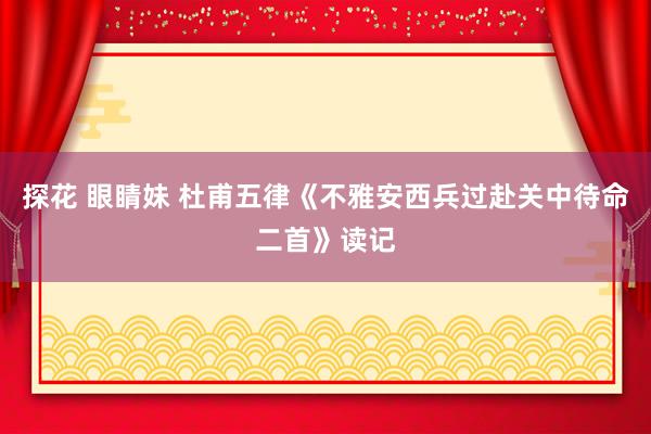探花 眼睛妹 杜甫五律《不雅安西兵过赴关中待命二首》读记