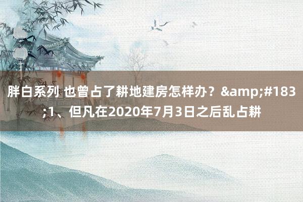 胖白系列 也曾占了耕地建房怎样办?·1、但凡在2020年7月3日之后乱占耕