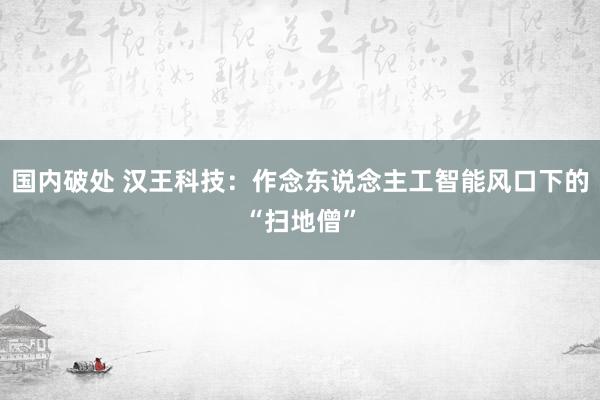 国内破处 汉王科技:作念东说念主工智能风口下的“扫地僧”