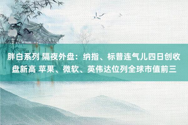 胖白系列 隔夜外盘:纳指、标普连气儿四日创收盘新高 苹果、微软、英伟达位列全球市值前三