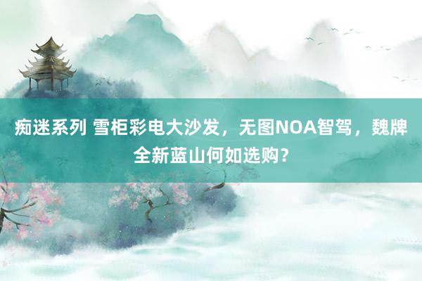 痴迷系列 雪柜彩电大沙发,无图NOA智驾,魏牌全新蓝山何如选购?