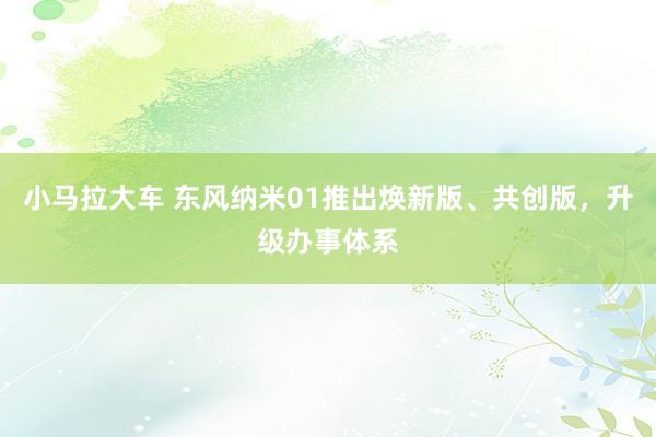 小马拉大车 东风纳米01推出焕新版、共创版,升级办事体系