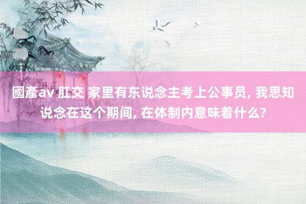 國產av 肛交 家里有东说念主考上公事员, 我思知说念在这个期间, 在体制内意味着什么?
