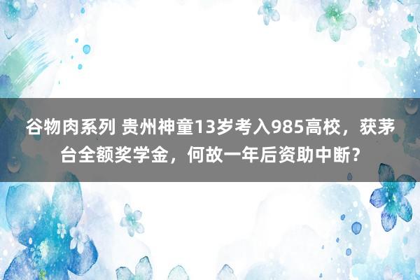 谷物肉系列 贵州神童13岁考入985高校,获茅台全额奖学金,何故一年后资助中断?