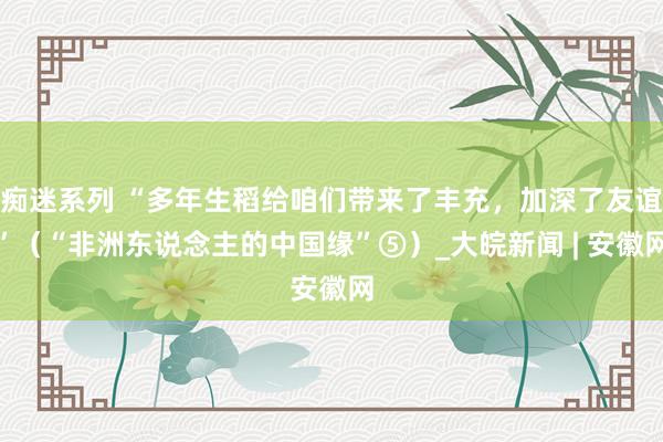 痴迷系列 “多年生稻给咱们带来了丰充,加深了友谊”(“非洲东说念主的中国缘”⑤)_大皖新闻 | 安徽网