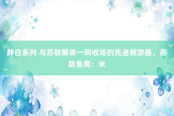 胖白系列 与苏联解体一同收场的先进翱游器,苏版鱼鹰:米