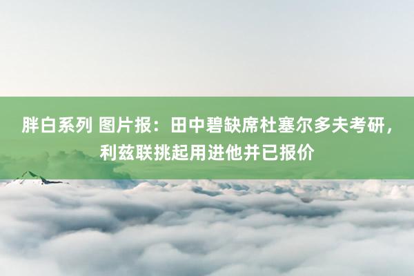 胖白系列 图片报:田中碧缺席杜塞尔多夫考研,利兹联挑起用进他并已报价