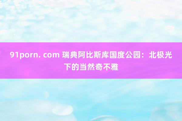 91porn. com 瑞典阿比斯库国度公园:北极光下的当然奇不雅