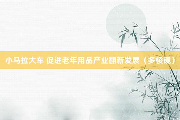小马拉大车 促进老年用品产业翻新发展(多棱镜)