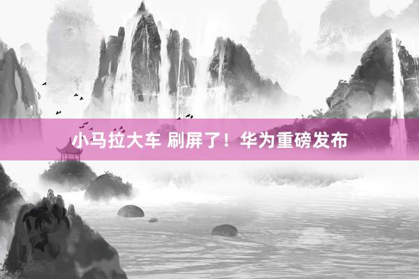 小马拉大车 刷屏了!华为重磅发布