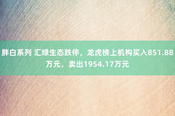 胖白系列 汇绿生态跌停,龙虎榜上机构买入851.88万元,卖出1954.17万元