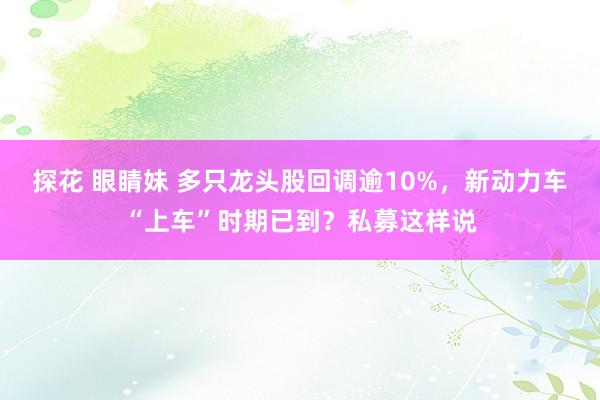 探花 眼睛妹 多只龙头股回调逾10%,新动力车“上车”时期已到?私募这样说