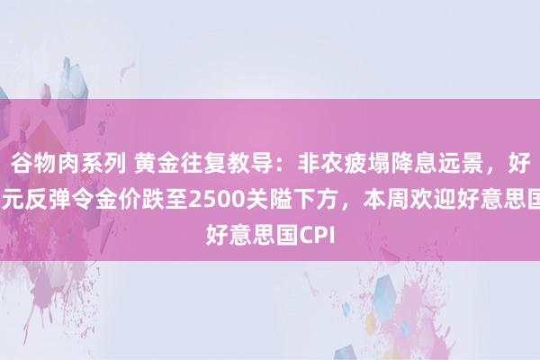 谷物肉系列 黄金往复教导:非农疲塌降息远景,好意思元反弹令金价跌至2500关隘下方,本周欢迎好意思国CPI