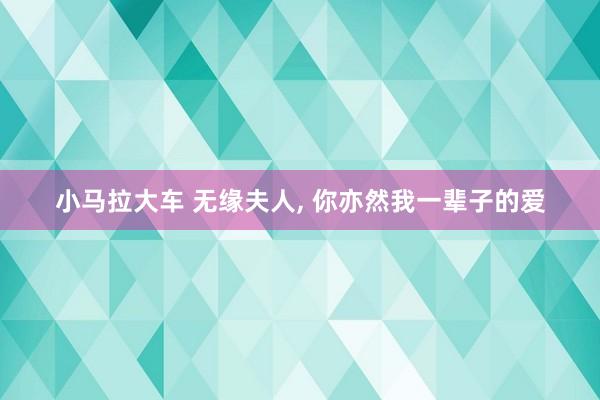 小马拉大车 无缘夫人, 你亦然我一辈子的爱