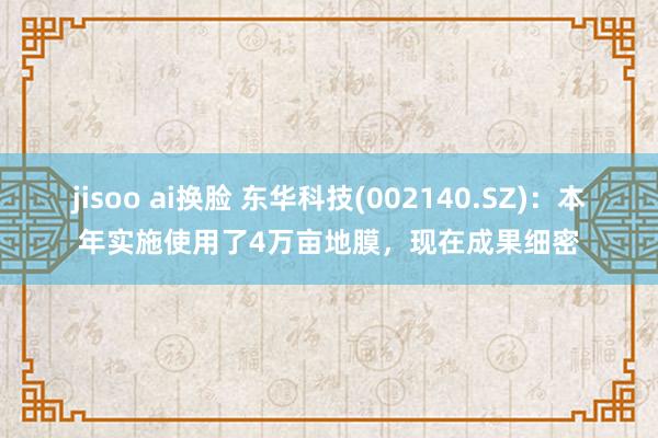jisoo ai换脸 东华科技(002140.SZ)：本年实施使用了4万亩地膜，现在成果细密