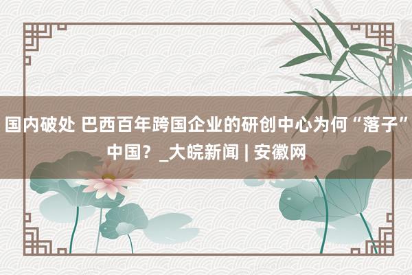 国内破处 巴西百年跨国企业的研创中心为何“落子”中国?_大皖新闻 | 安徽网