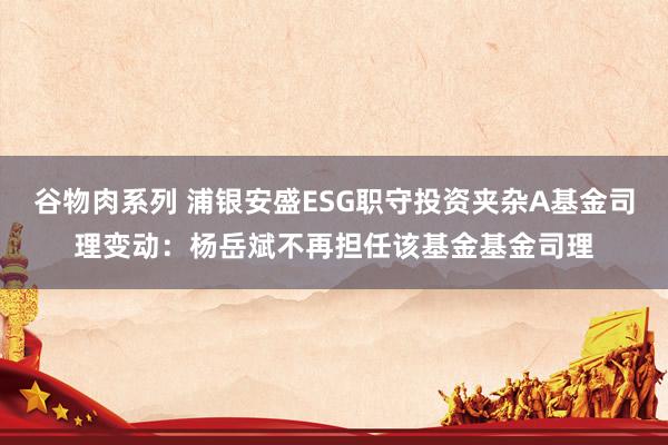 谷物肉系列 浦银安盛ESG职守投资夹杂A基金司理变动:杨岳斌不再担任该基金基金司理