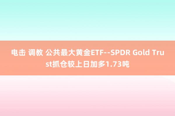 电击 调教 公共最大黄金ETF--SPDR Gold Trust抓仓较上日加多1.73吨