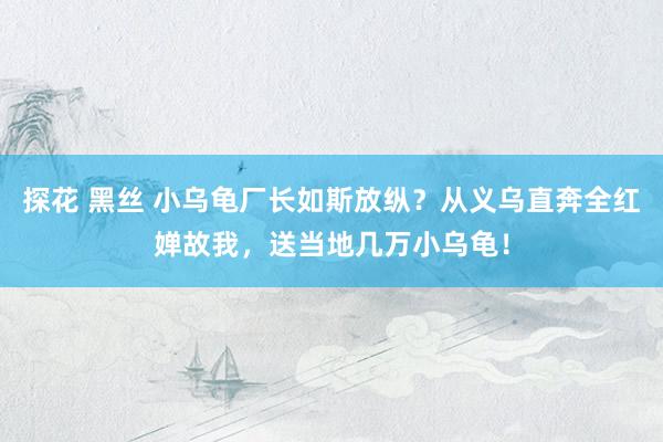 探花 黑丝 小乌龟厂长如斯放纵?从义乌直奔全红婵故我,送当地几万小乌龟!
