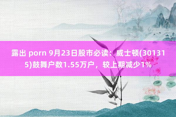 露出 porn 9月23日股市必读:威士顿(301315)鼓舞户数1.55万户,较上期减少1%