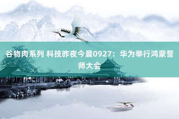 谷物肉系列 科技昨夜今晨0927:华为举行鸿蒙誓师大会