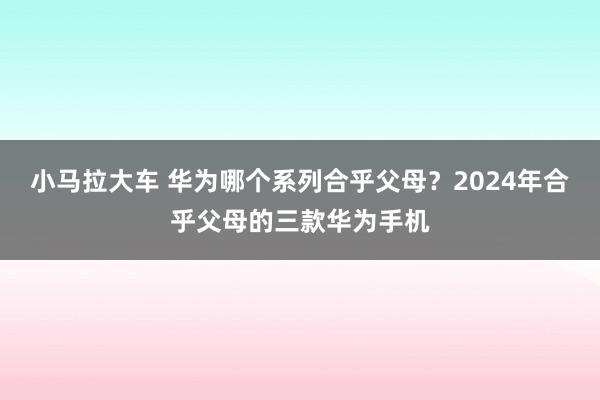 小马拉大车 华为哪个系列合乎父母?2024年合乎父母的三款华为手机