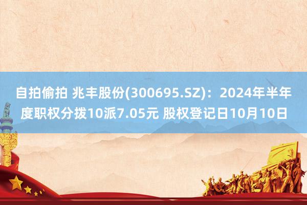 自拍偷拍 兆丰股份(300695.SZ):2024年半年度职权分拨10派7.05元 股权登记日10月10日