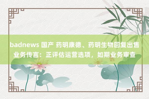 badnews 国产 药明康德、药明生物回复出售业务传言:正评估运营选项,如期业务审查