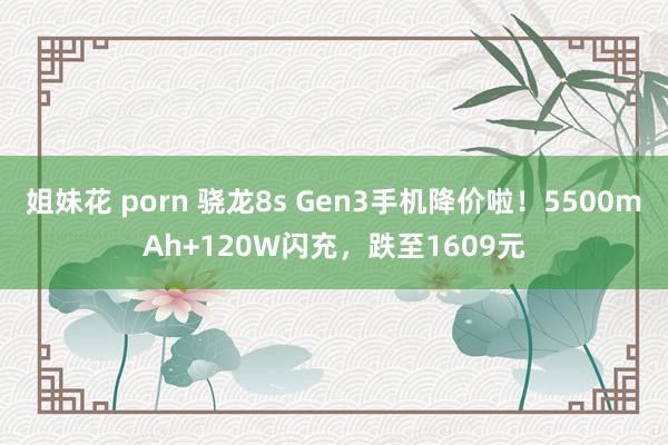 姐妹花 porn 骁龙8s Gen3手机降价啦!5500mAh+120W闪充,跌至1609元