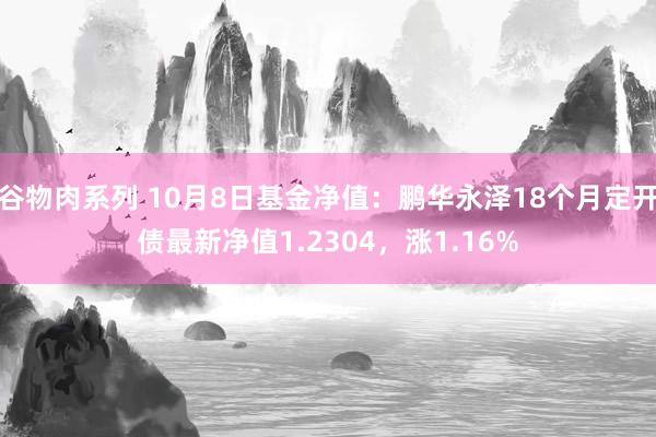 谷物肉系列 10月8日基金净值:鹏华永泽18个月定开债最新净值1.2304,涨1.16%