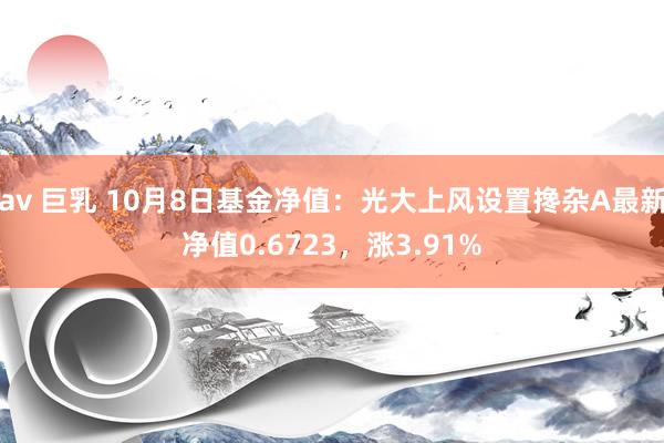av 巨乳 10月8日基金净值:光大上风设置搀杂A最新净值0.6723,涨3.91%
