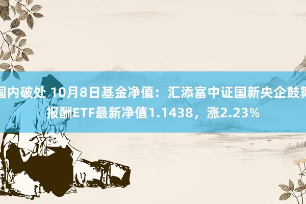 国内破处 10月8日基金净值:汇添富中证国新央企鼓舞报酬ETF最新净值1.1438,涨2.23%