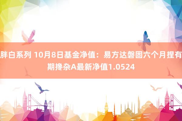 胖白系列 10月8日基金净值:易方达磐固六个月捏有期搀杂A最新净值1.0524