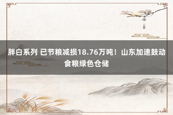 胖白系列 已节粮减损18.76万吨!山东加速鼓动食粮绿色仓储