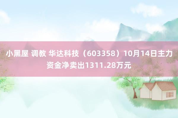 小黑屋 调教 华达科技(603358)10月14日主力资金净卖出1311.28万元