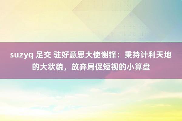 suzyq 足交 驻好意思大使谢锋:秉持计利天地的大状貌,放弃局促短视的小算盘