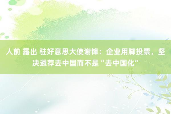 人前 露出 驻好意思大使谢锋:企业用脚投票,坚决遴荐去中国而不是“去中国化”