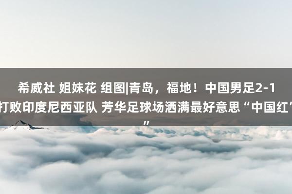 希威社 姐妹花 组图|青岛,福地!中国男足2-1打败印度尼西亚队 芳华足球场洒满最好意思“中国红”