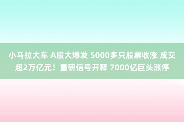 小马拉大车 A股大爆发 5000多只股票收涨 成交超2万亿元!重磅信号开释 7000亿巨头涨停