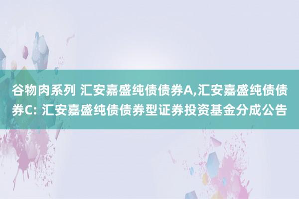 谷物肉系列 汇安嘉盛纯债债券A,汇安嘉盛纯债债券C: 汇安嘉盛纯债债券型证券投资基金分成公告
