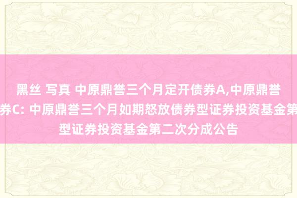 黑丝 写真 中原鼎誉三个月定开债券A,中原鼎誉三个月定开债券C: 中原鼎誉三个月如期怒放债券型证券投资基金第二次分成公告