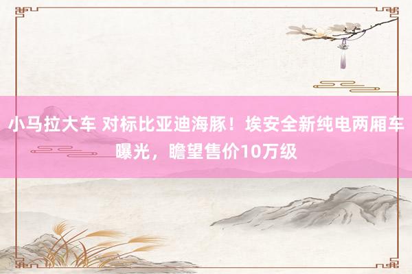 小马拉大车 对标比亚迪海豚!埃安全新纯电两厢车曝光,瞻望售价10万级
