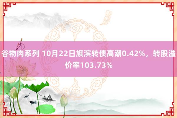 谷物肉系列 10月22日旗滨转债高潮0.42%,转股溢价率103.73%