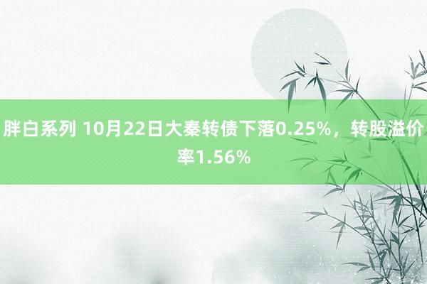 胖白系列 10月22日大秦转债下落0.25%,转股溢价率1.56%