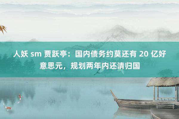 人妖 sm 贾跃亭:国内债务约莫还有 20 亿好意思元,规划两年内还清归国