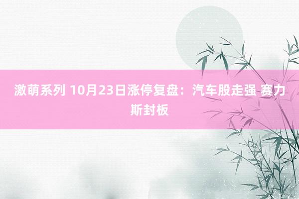 激萌系列 10月23日涨停复盘:汽车股走强 赛力斯封板
