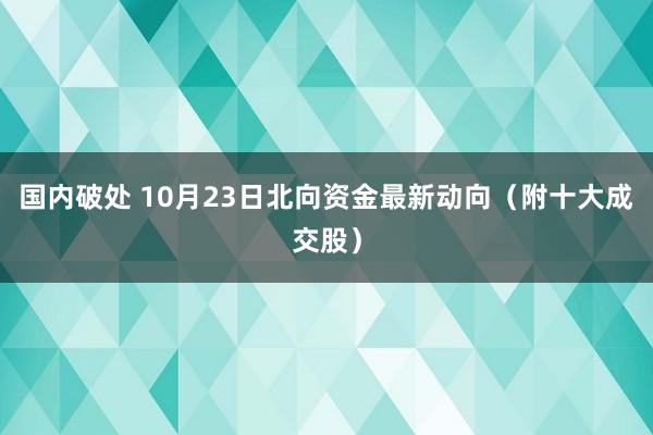 国内破处 10月23日北向资金最新动向(附十大成交股)
