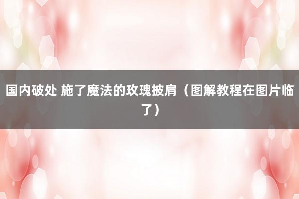 国内破处 施了魔法的玫瑰披肩(图解教程在图片临了)