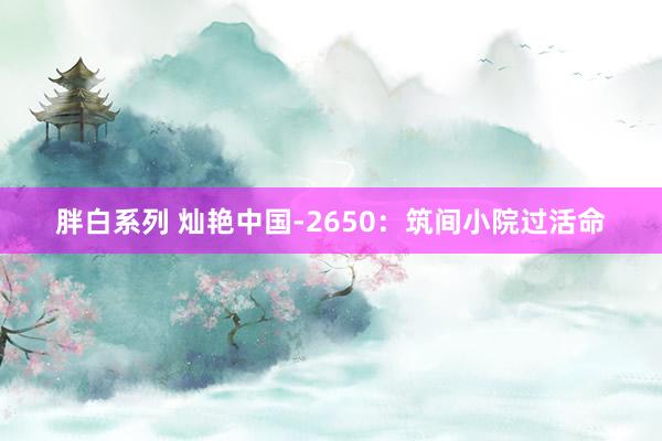 胖白系列 灿艳中国-2650:筑间小院过活命