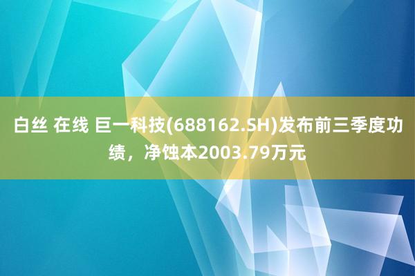 白丝 在线 巨一科技(688162.SH)发布前三季度功绩,净蚀本2003.79万元